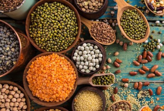 Maroc-sourcing_iylaf-agroalimentaire